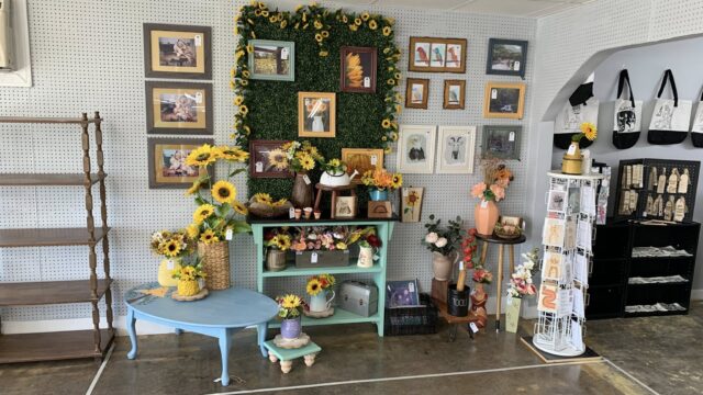 Stella’s Treasures