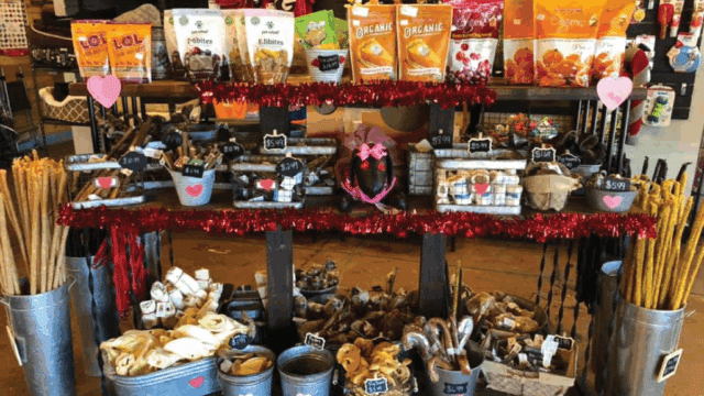 pets r us in calhoun ga | pet supplies