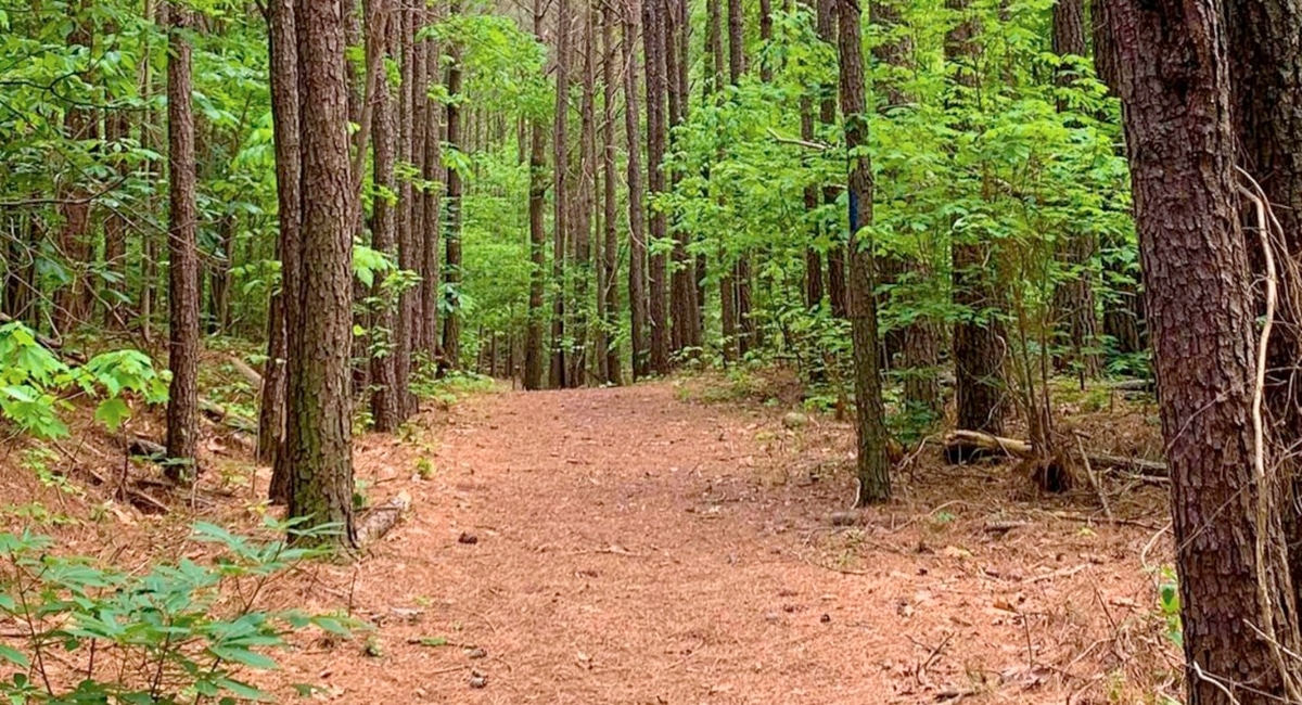 5. Resaca Battlefield Historic Site Trail - dog friendly calhoun ga